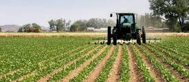 ROMANIA AGRICULTURE OUTLOOK: EU FUNDING GETS MORE ACCESIBLE FOR INVESTORS