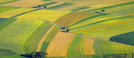 Romania agriculture outlook: Farmland prices continue to grow in 2016