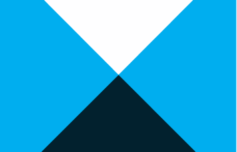 Alina-Stratan-Employee Experience Case Study