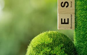 Sustainability Services